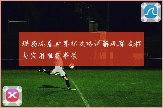 现场观看世界杯攻略详解观赛流程与实用准备事项